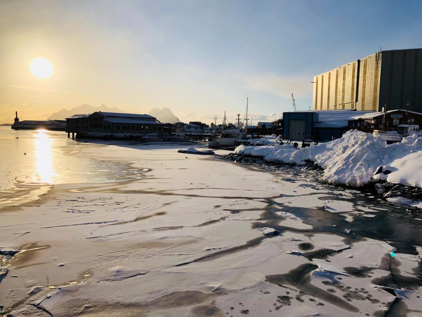 Nora'S Waterfront Cabin Svolvær Dış mekan fotoğraf